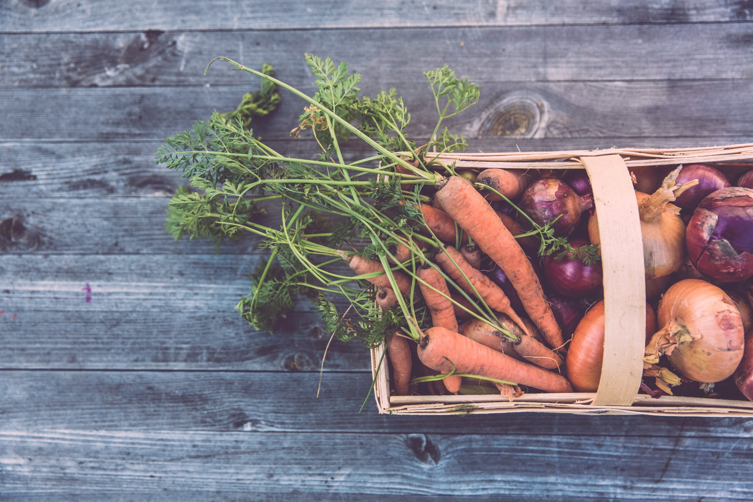 Zbiór warzyw – kiedy należy go przeprowadzać?