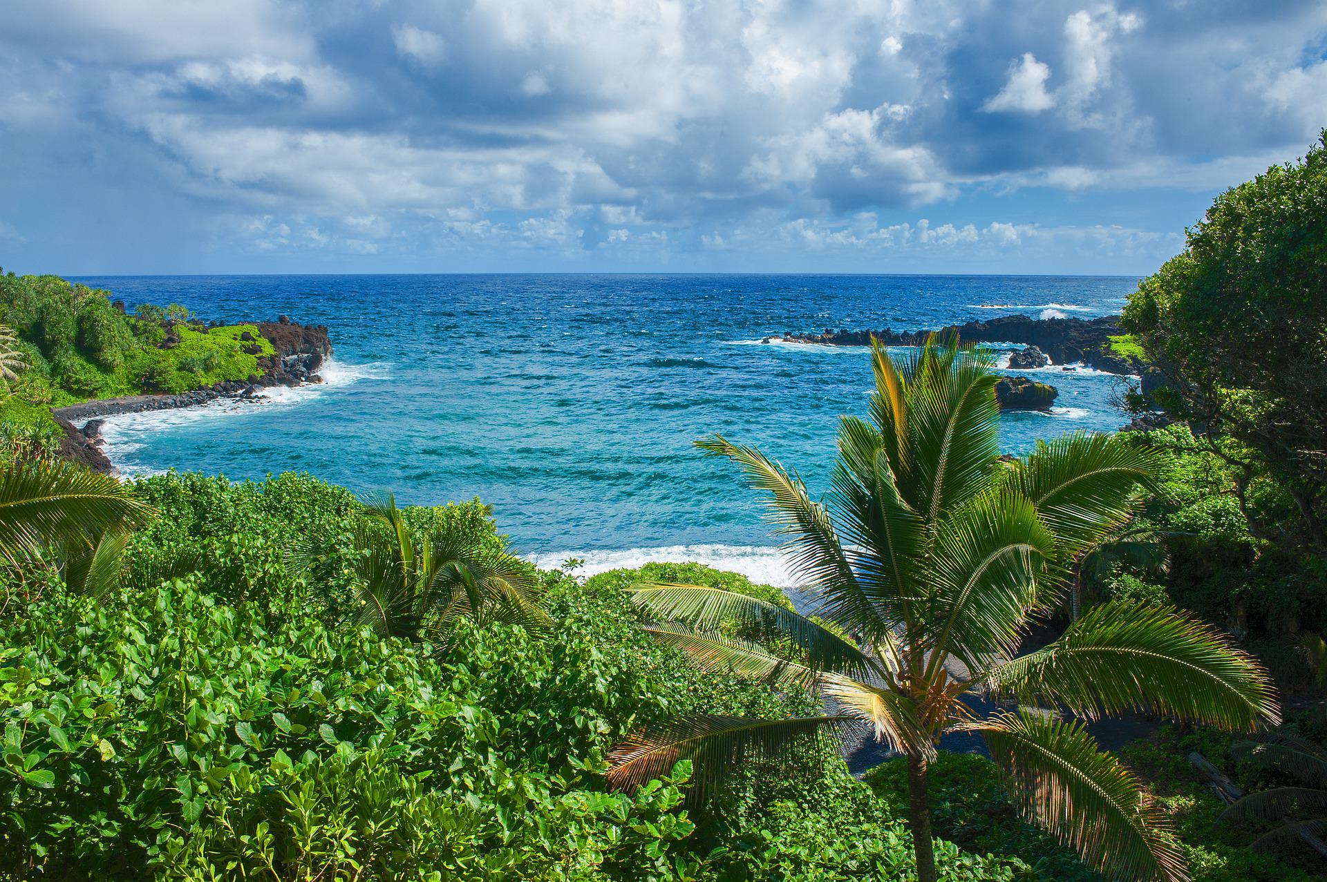 Maui – ekologiczna wyspa marzeń