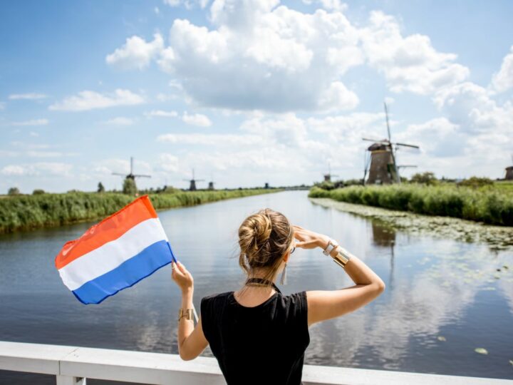 Nasiona holenderskie – najważniejsze zalety