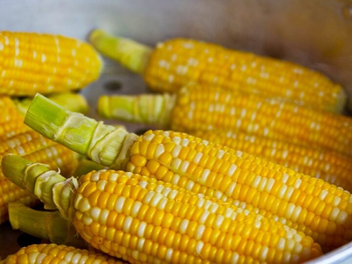 Dopłaty dla uprawy kukurydzy: Wydatkowane 652 mln zł na wsparcie blisko 158 tys. rolników