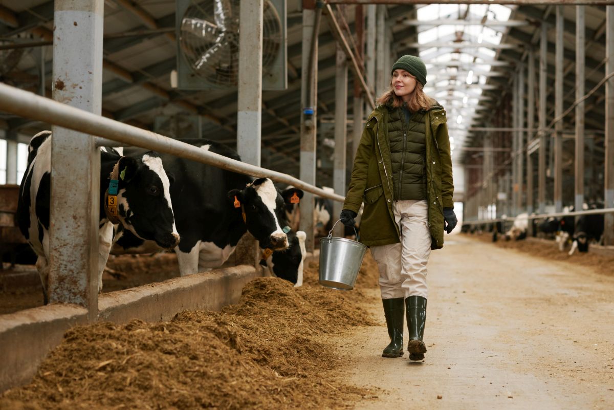 Jak zbudować zrównoważone i efektywne gospodarstwo mleczne?