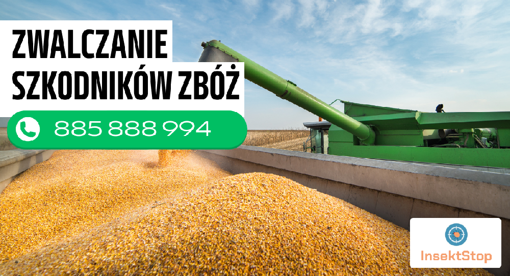 zwalczanie szkodników zbóż insektstop.pl