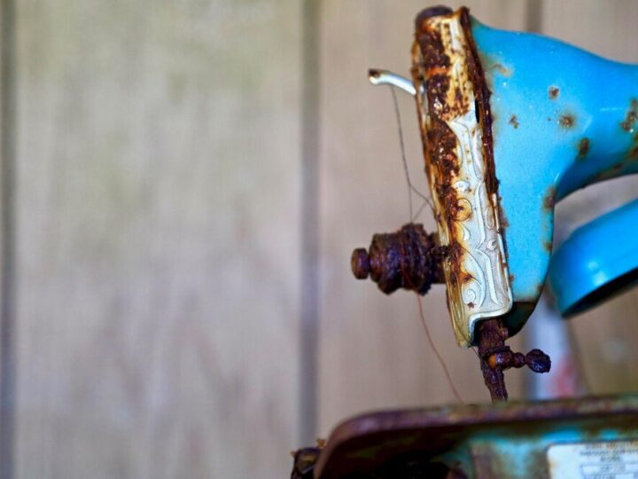 Domowe sposoby na zwalczanie rdzy na liściach w ogrodzie