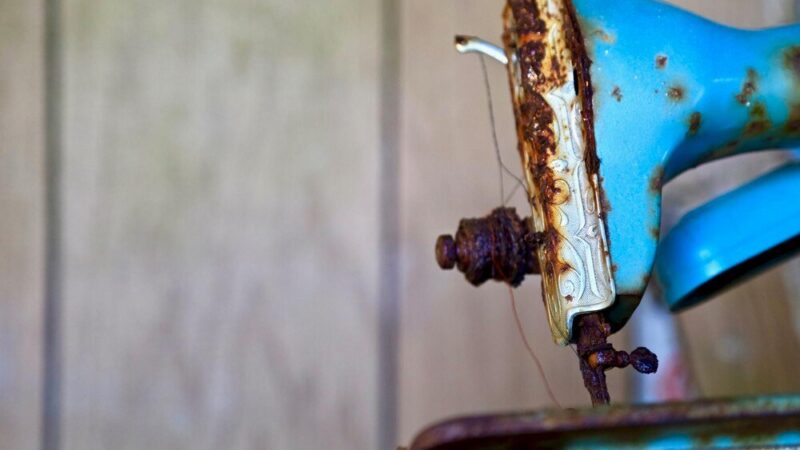 Domowe sposoby na zwalczanie rdzy na liściach w ogrodzie