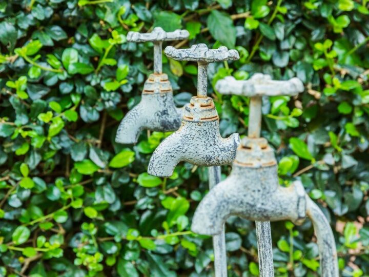 Jak wybrać kran ogrodowy na elewacji i na co zwrócić uwagę przy jego instalacji