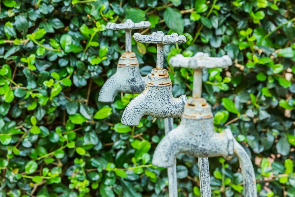 Jak wybrać kran ogrodowy na elewacji i na co zwrócić uwagę przy jego instalacji