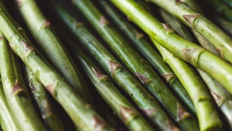 Uprawa i pielęgnacja szparagów – kompletny przewodnik