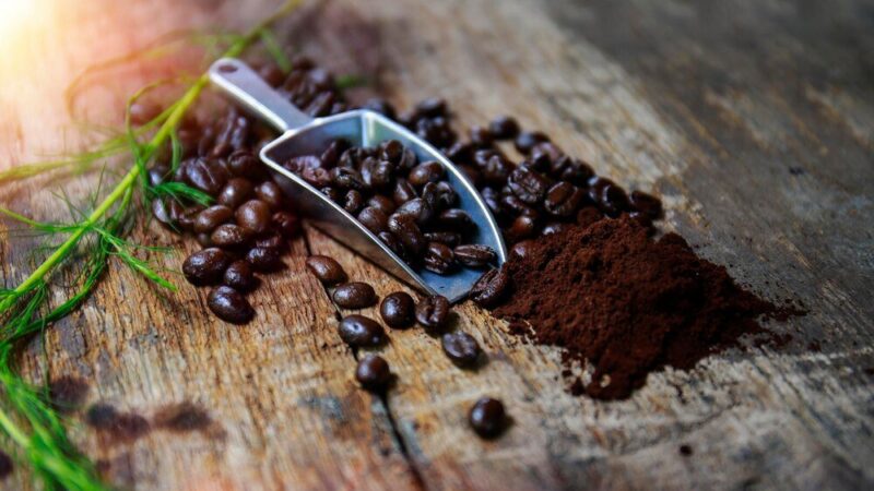 Wykorzystanie fusów z kawy jako naturalny nawóz w ogrodzie