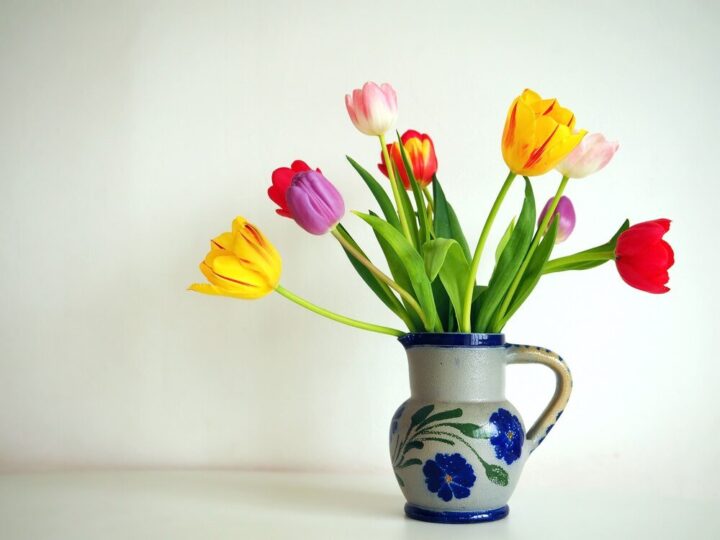 Dlaczego tulipany opadają w wazonie?