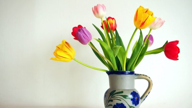 Dlaczego tulipany opadają w wazonie?