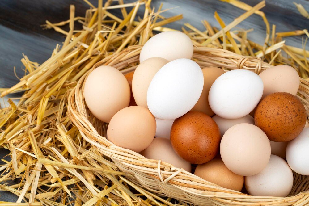 Inkubacja jaj kurzych krok po kroku