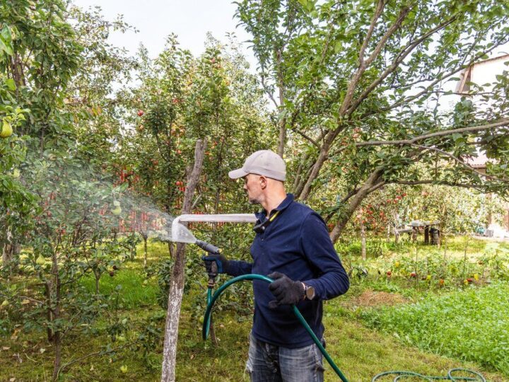Jesienne opryski drzew owocowych – skuteczne metody ochrony na zimę