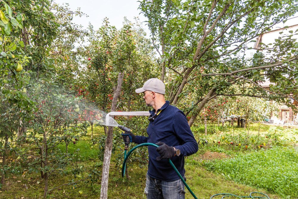 Jesienne opryski drzew owocowych – skuteczne metody ochrony na zimę