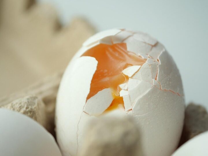 Od czego zależy kolor skorupki jajka?