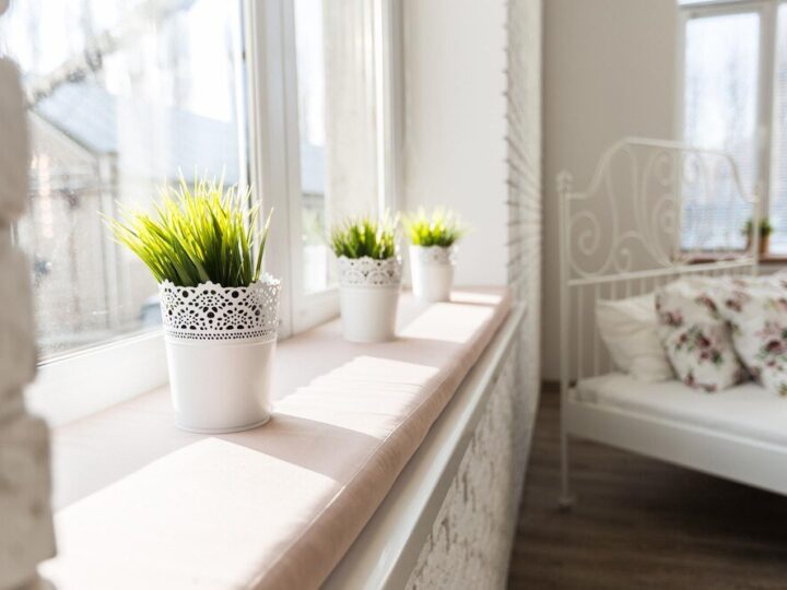 Wszystko o uprawie ziół na parapecie