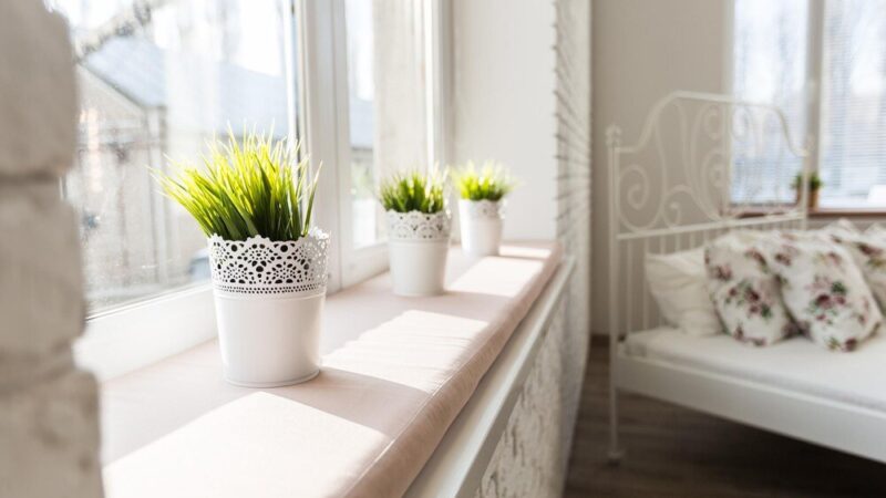 Wszystko o uprawie ziół na parapecie