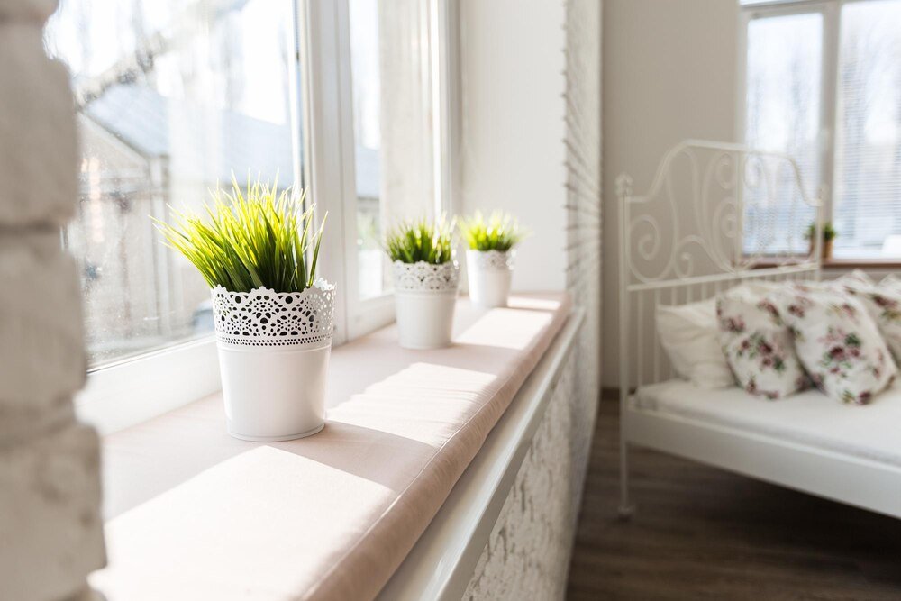 Wszystko o uprawie ziół na parapecie