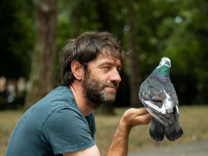 Hodowla gołębi pocztowych – od czego zacząć?