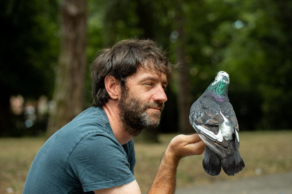 Hodowla gołębi pocztowych – od czego zacząć?