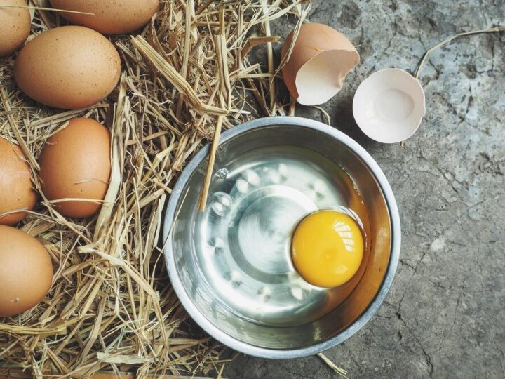 Jak oduczyć kury zjadania jajek – skuteczne metody