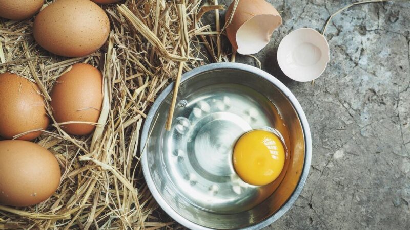 Jak oduczyć kury zjadania jajek – skuteczne metody