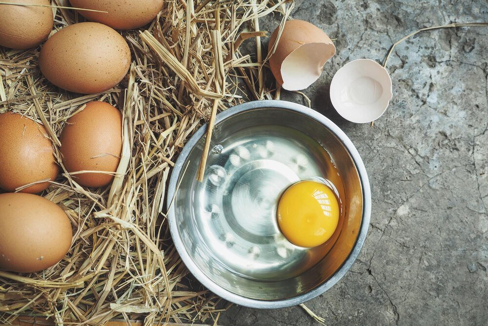 Jak oduczyć kury zjadania jajek – skuteczne metody