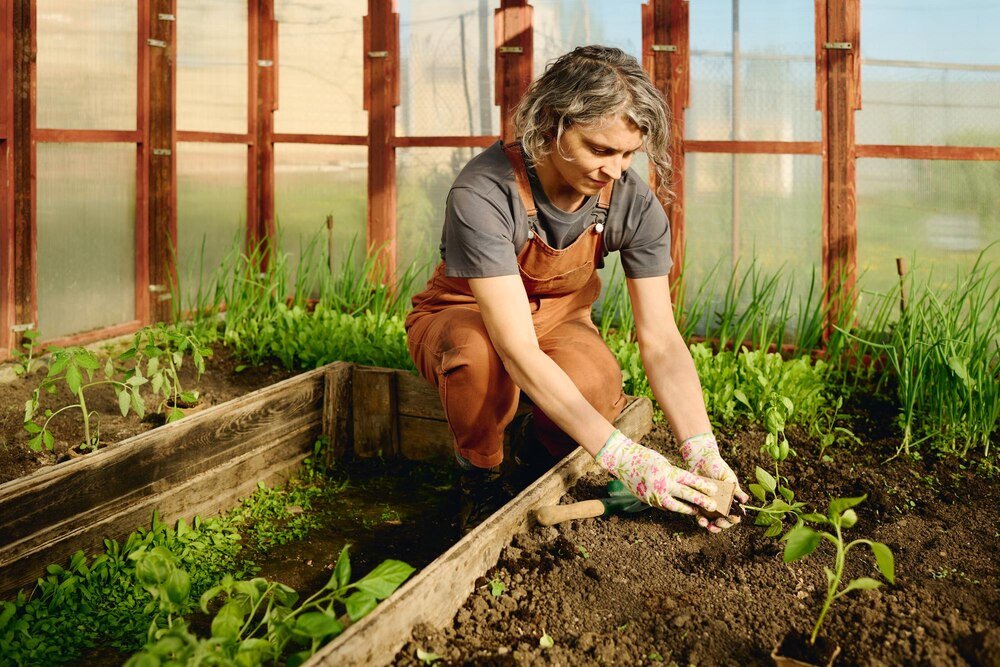 Co siać w lipcu – warzywa i rośliny na późny plon