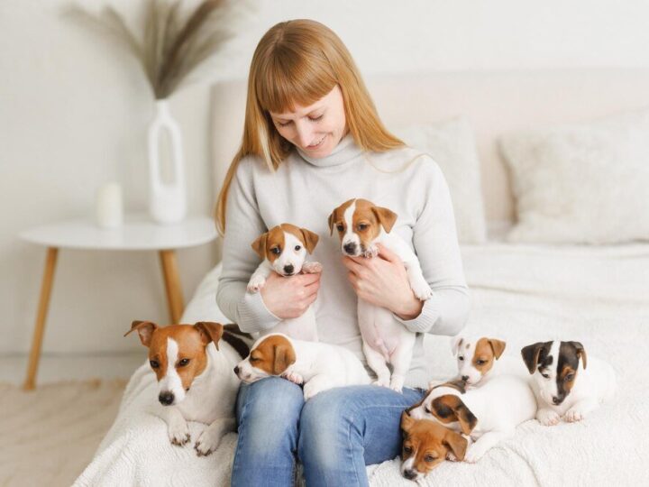 Czarna lista hodowli psów – na co uważać przy wyborze?