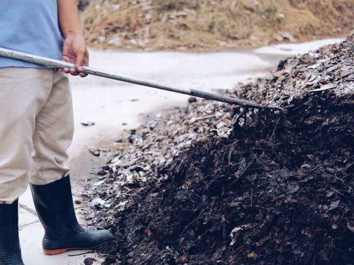 Do kiedy można wywozić obornik – terminy i regulacje prawne
