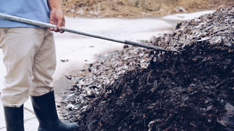 Do kiedy można wywozić obornik – terminy i regulacje prawne