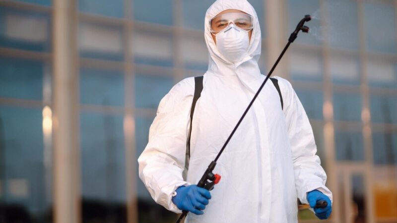 Fumigacja – co to jest i kiedy ją stosować?