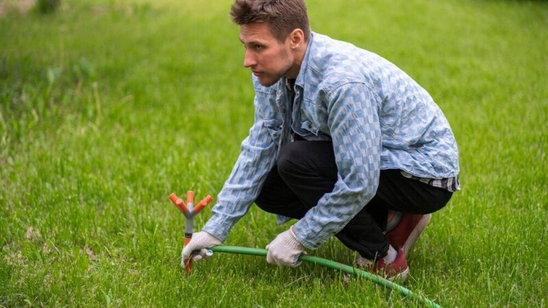 Jak siać trawę na starym trawniku – krok po kroku