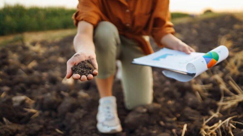 Jak sprawdzić klasę ziemi – praktyczny poradnik dla rolników