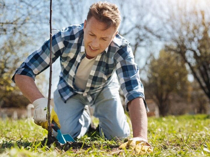 Kiedy siać trawę – najlepsze terminy w roku