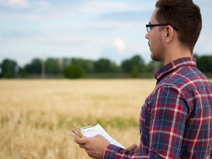 Kto może kupić działkę rolną – przepisy i wymagania