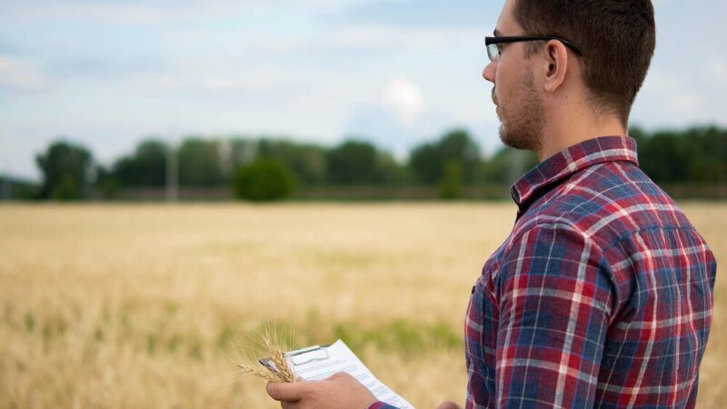 Kto może kupić działkę rolną – przepisy i wymagania