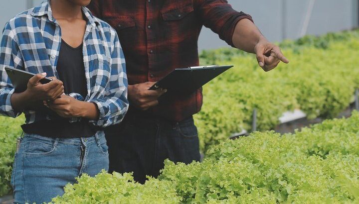 Nauka o rolnictwie – główne działy i zastosowanie w praktyce