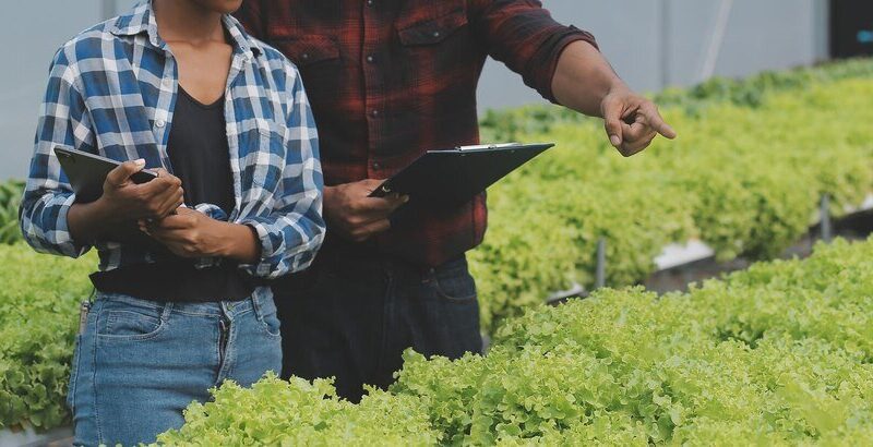 Nauka o rolnictwie – główne działy i zastosowanie w praktyce