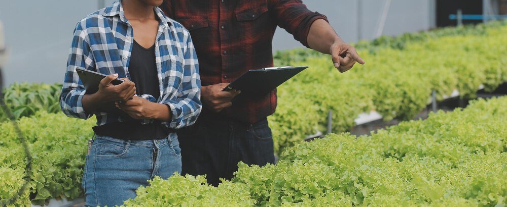 Nauka o rolnictwie – główne działy i zastosowanie w praktyce