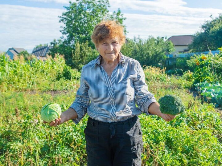 Rolnictwo ekologiczne w Polsce – zasady, wymagania, opłacalność