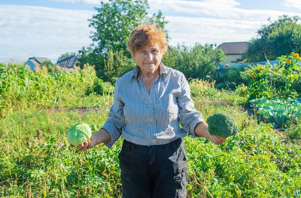 Rolnictwo ekologiczne w Polsce – zasady, wymagania, opłacalność