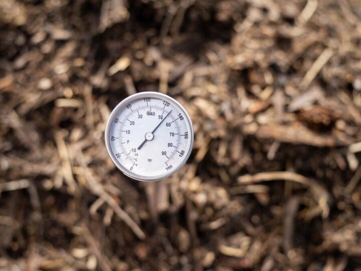 Temperatura gleby w Polsce – znaczenie dla upraw rolniczych