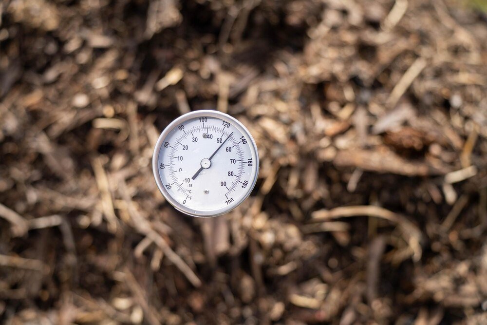 Temperatura gleby w Polsce – znaczenie dla upraw rolniczych