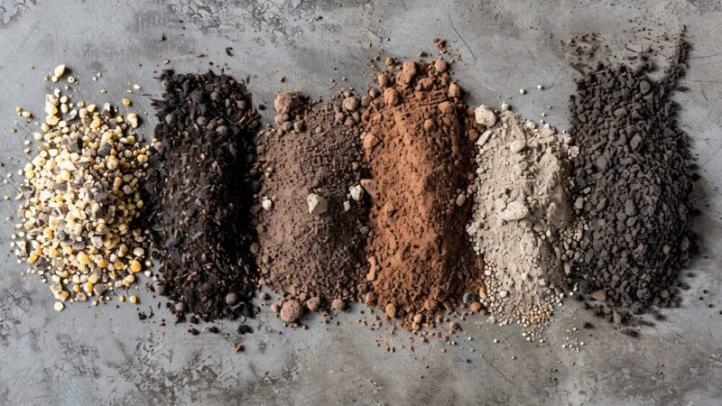 Typy gleb – charakterystyka i znaczenie dla rolnictwa