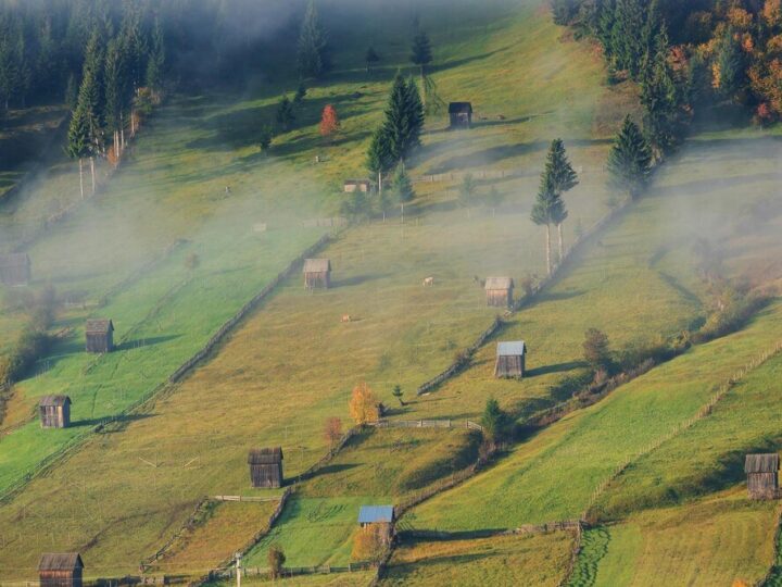 Warunki rozwoju rolnictwa w Polsce – czynniki sprzyjające i ograniczenia