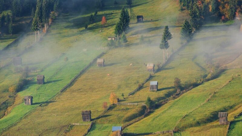 Warunki rozwoju rolnictwa w Polsce – czynniki sprzyjające i ograniczenia