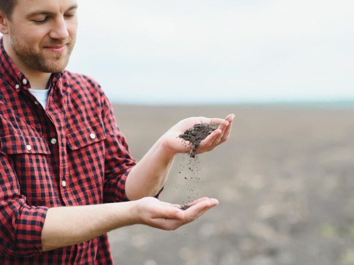 Yara Mila Complex czy Azofoska – co wybrać na nawożenie?