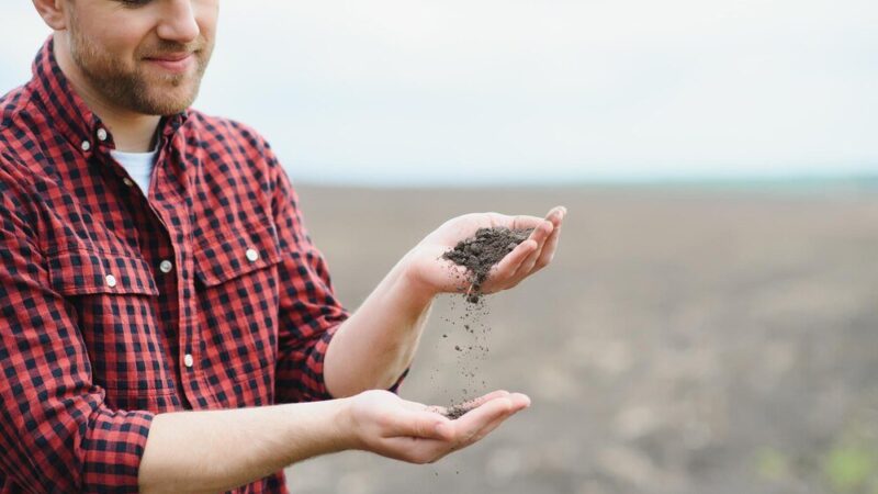 Yara Mila Complex czy Azofoska – co wybrać na nawożenie?
