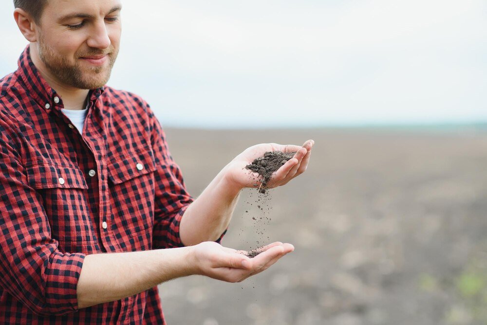 Yara Mila Complex czy Azofoska – co wybrać na nawożenie?