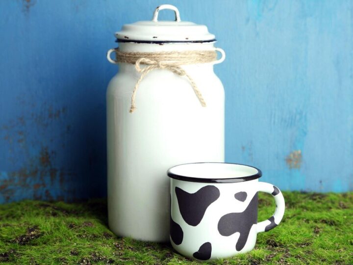 Alergia na mleko krowie – objawy u dzieci i dorosłych